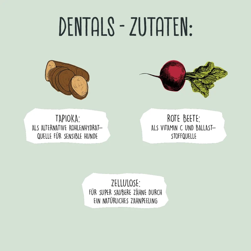Bundle: 5 Dentals