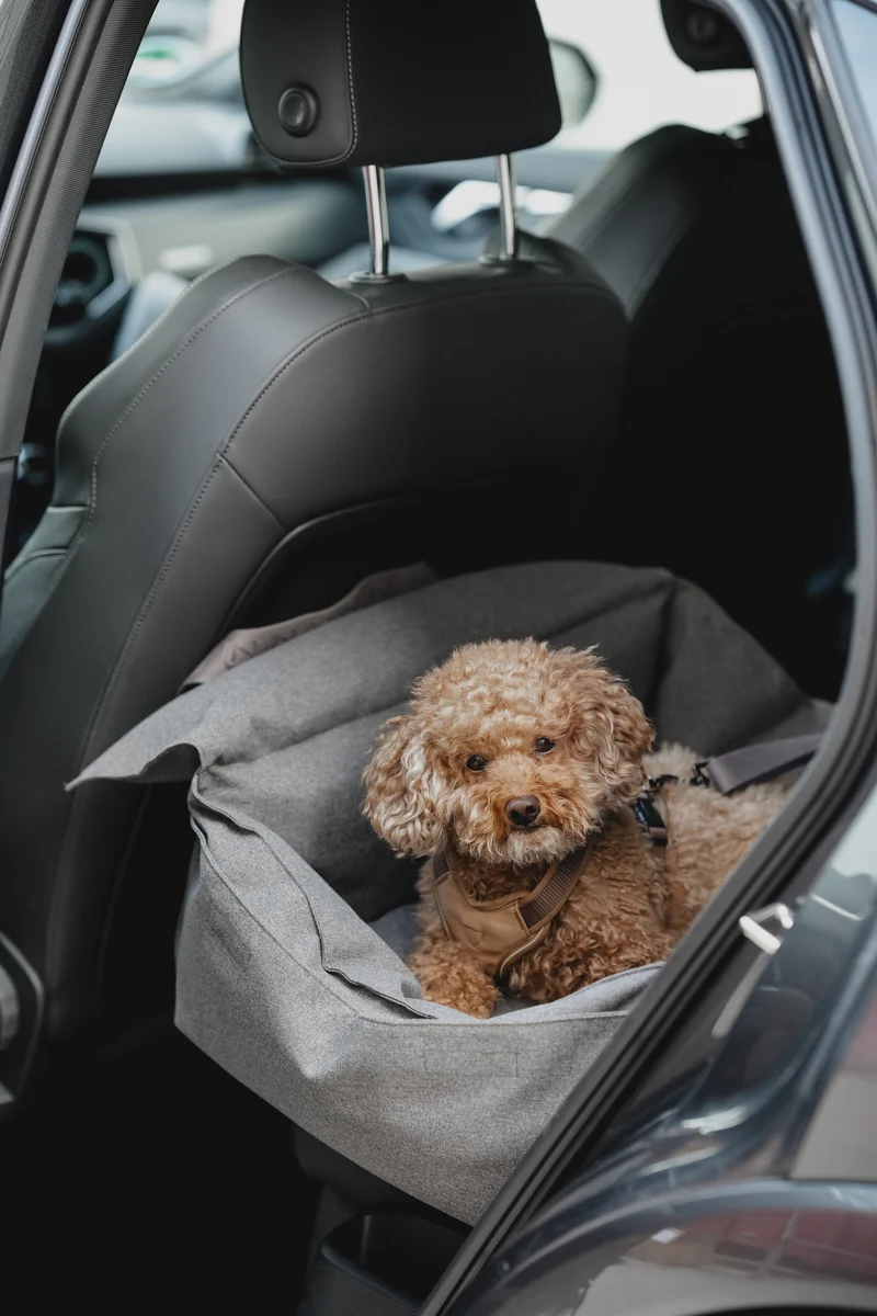 Hundeautositz Getaway Light Graphite tragbar