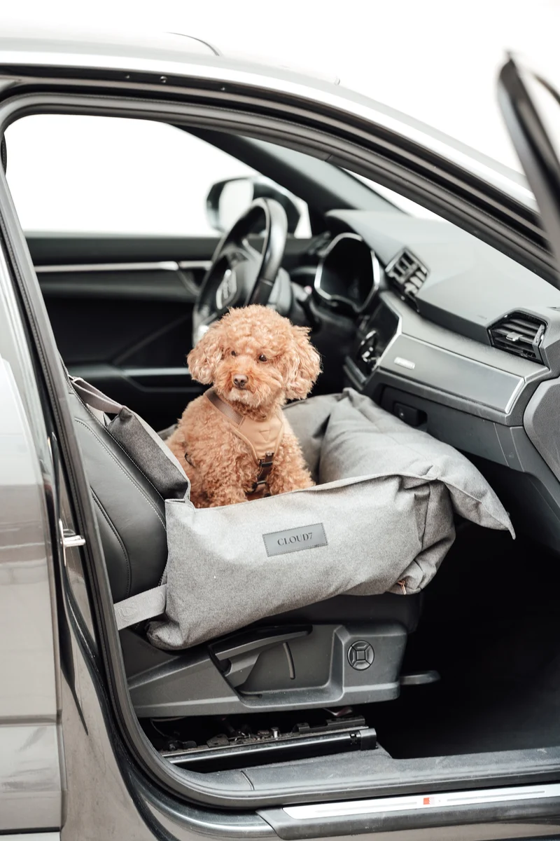 Hundeautositz Getaway Light Graphite tragbar