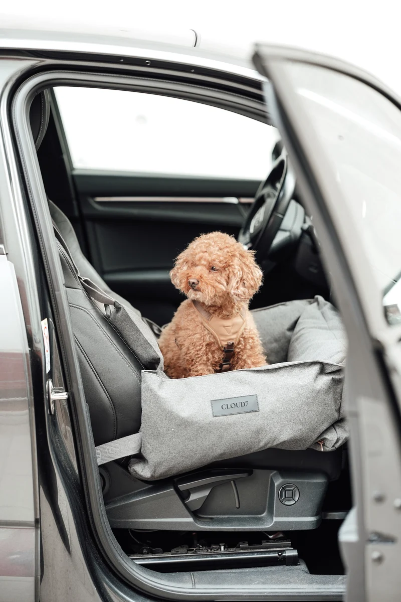 Hundeautositz Getaway Light Graphite tragbar