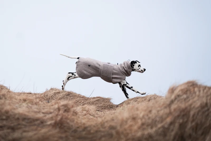 Drying Coat
