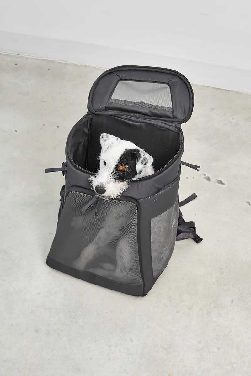 Zaino Hunderucksack Asphalt