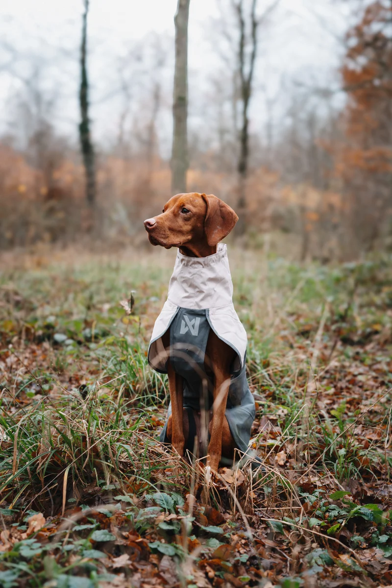 Fjord Raincoat 2.0 Grey
