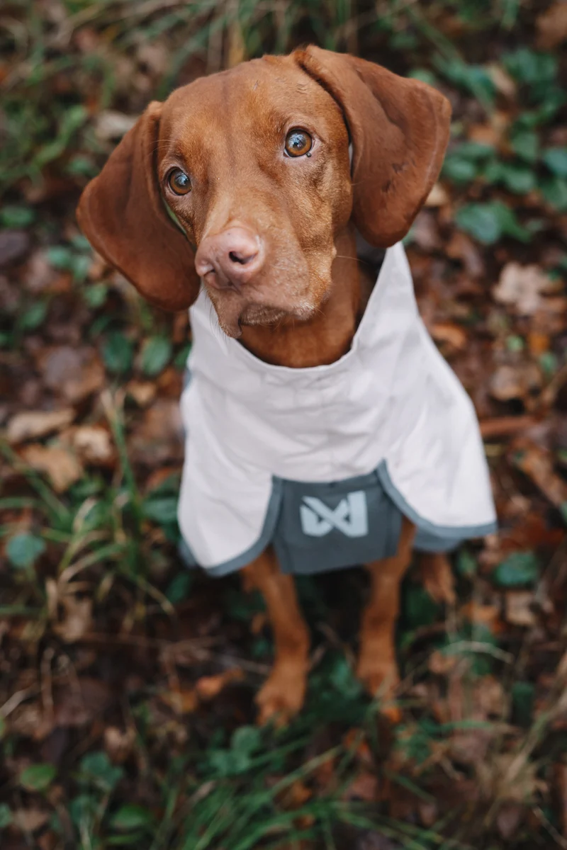 Fjord Raincoat 2.0 Grey
