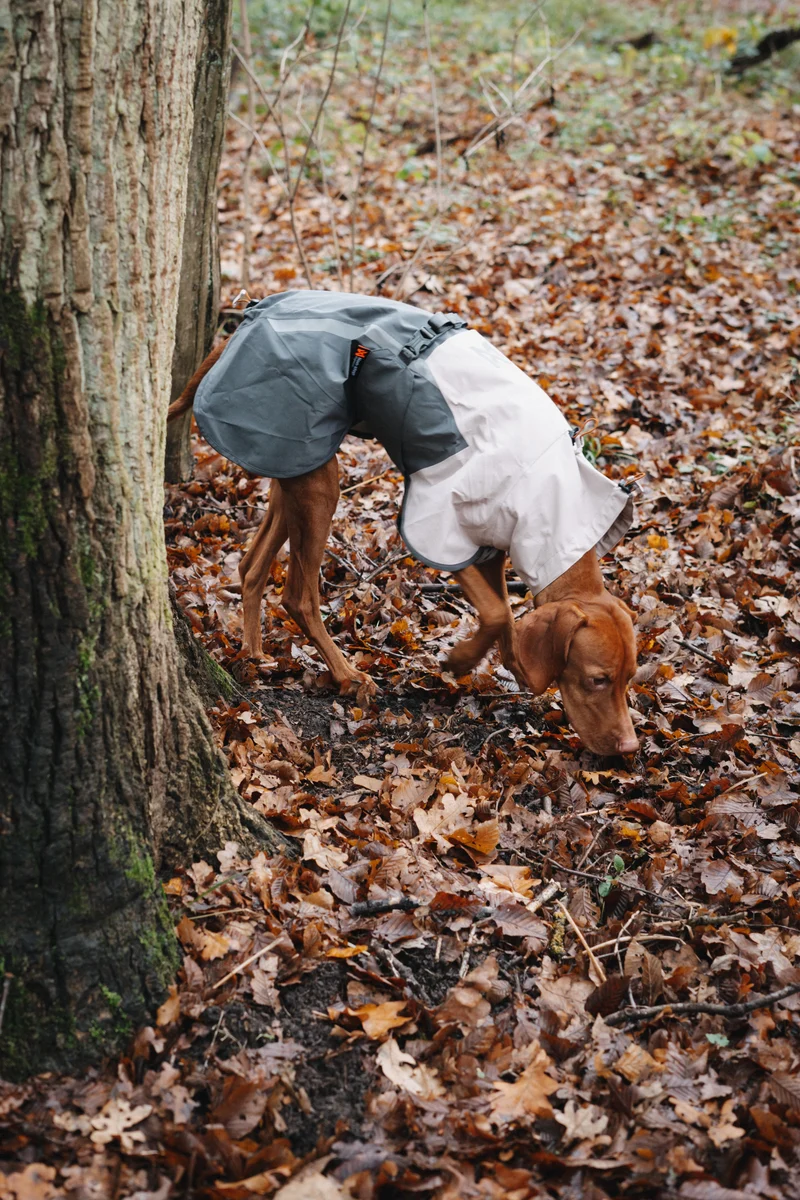 Fjord Raincoat 2.0 Grey