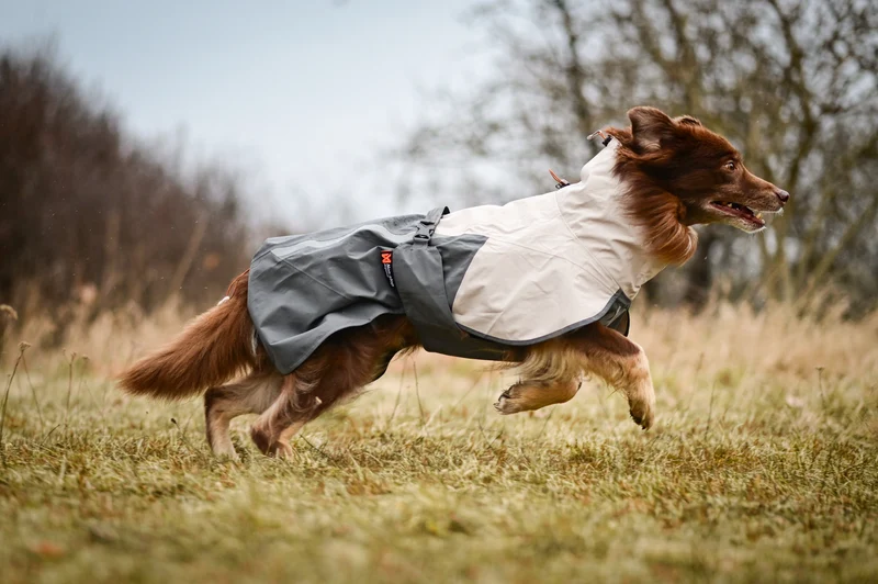 Fjord Raincoat 2.0 Grey