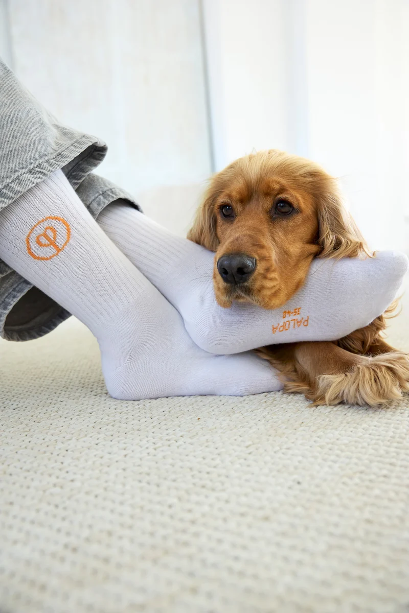 Tennis Socken GOTS Logo Orange Blue Grey