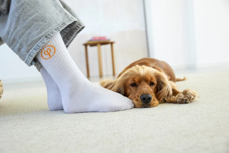 Tennis Socken GOTS Logo Orange Blue Grey