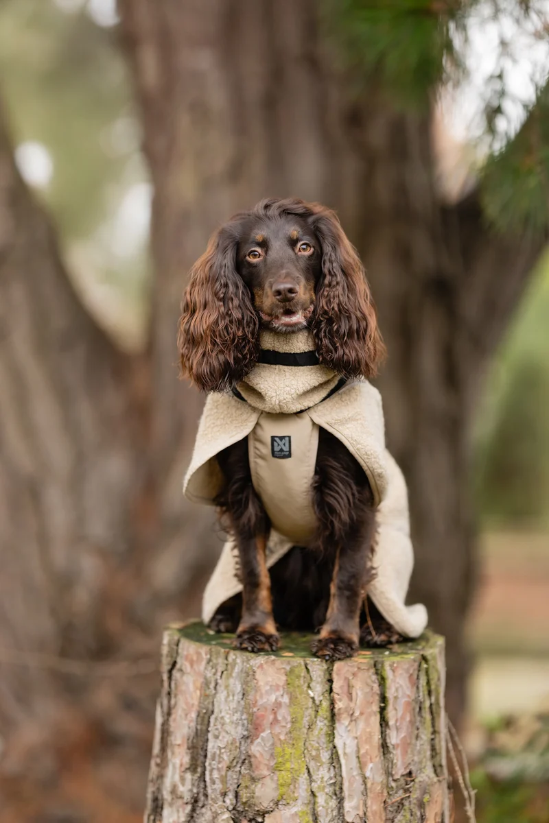Wool Dog Jacket Sand