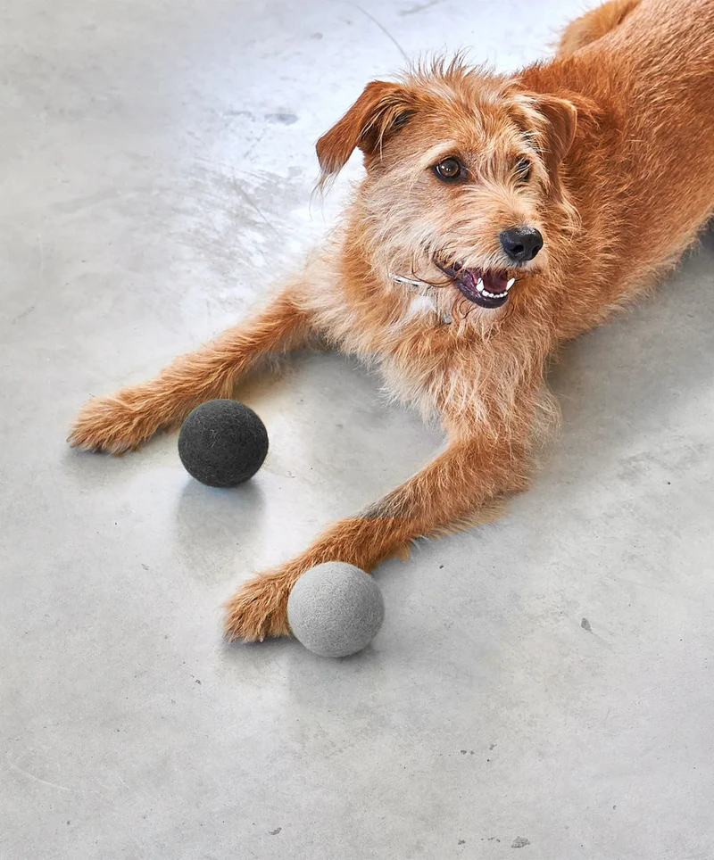 Globo Hundeball Beton