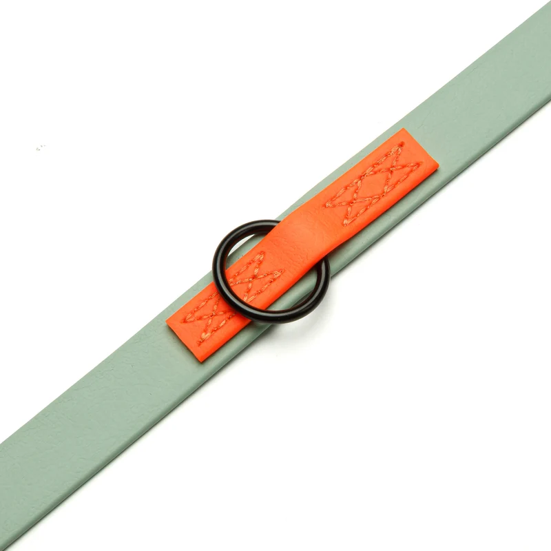 Hundeleine verstellbar BioThane Ipanema Mint-Neon Orange
