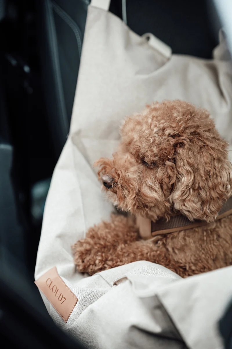 Hundeautositz Getaway Sand tragbar