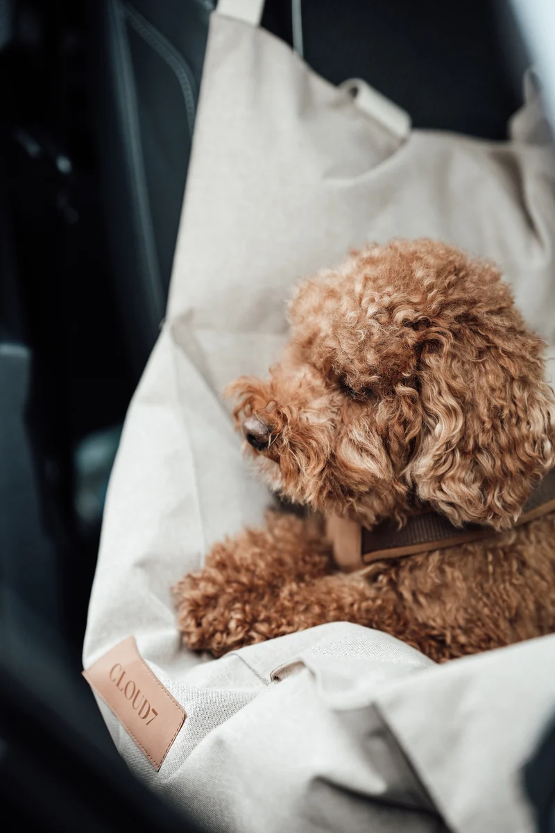 Hundeautositz Getaway Sand tragbar