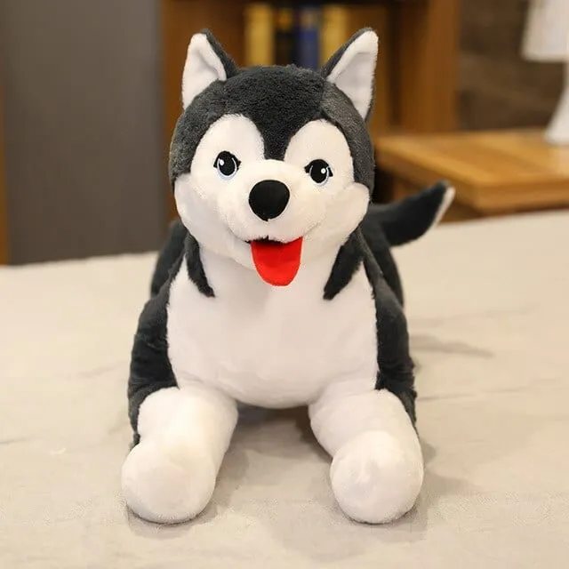 Plüschtier Husky – Kuscheltier - Stofftier weich