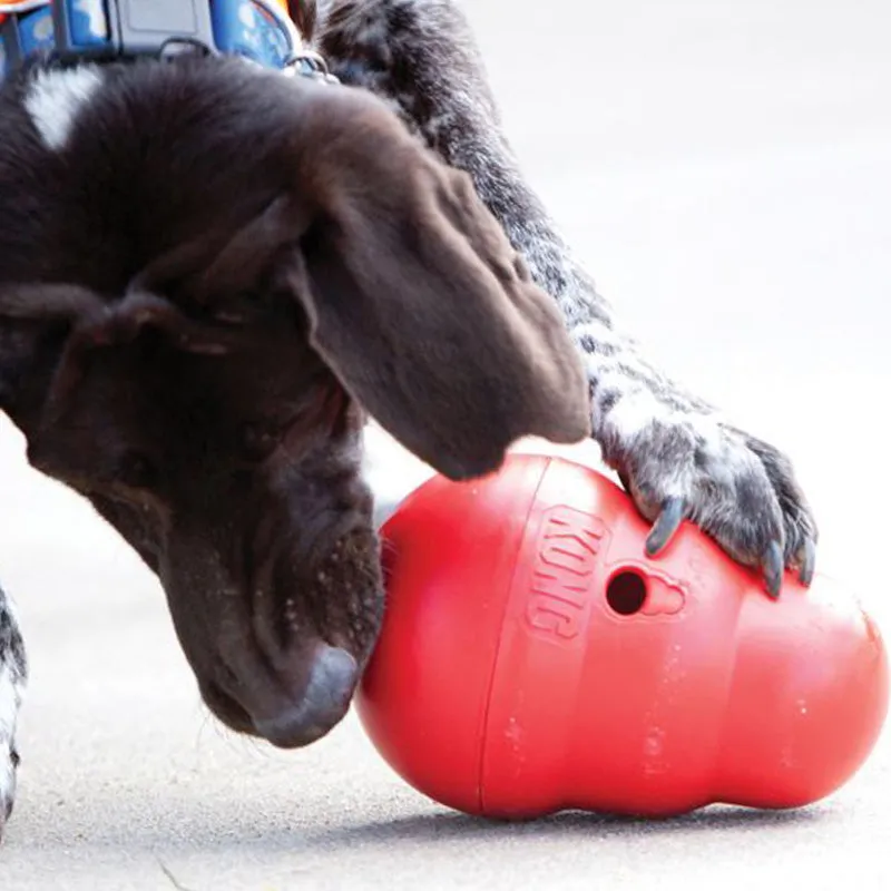 KONG - Wobbler | Der actionreiche Futterspender für Deinen Hund