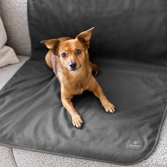 Hundedecke Schutzmatte Benti Anthrazit