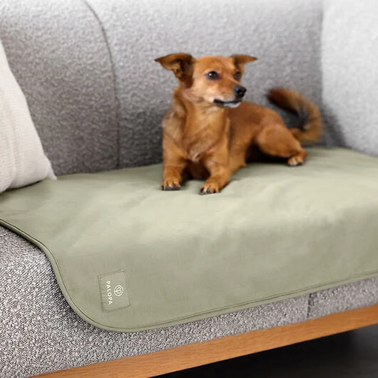 Hundedecke Schutzmatte Benti Olive