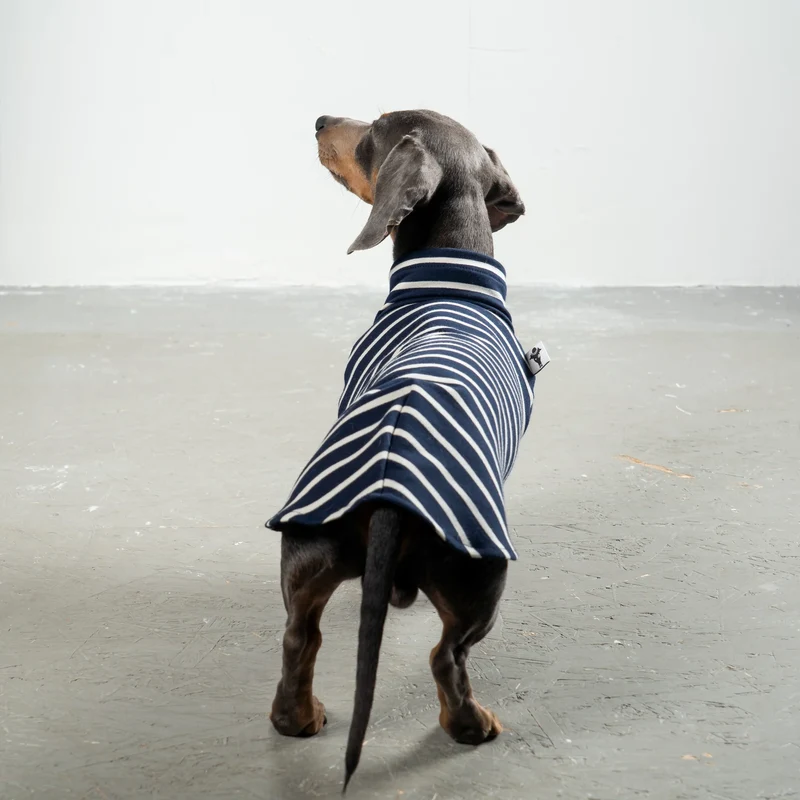 Cotton Shirt für Dackel Stripes Navy