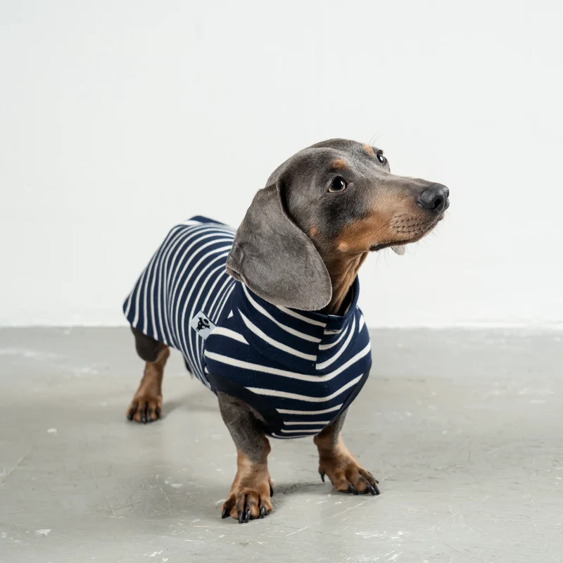 Cotton Shirt für Dackel Stripes Navy