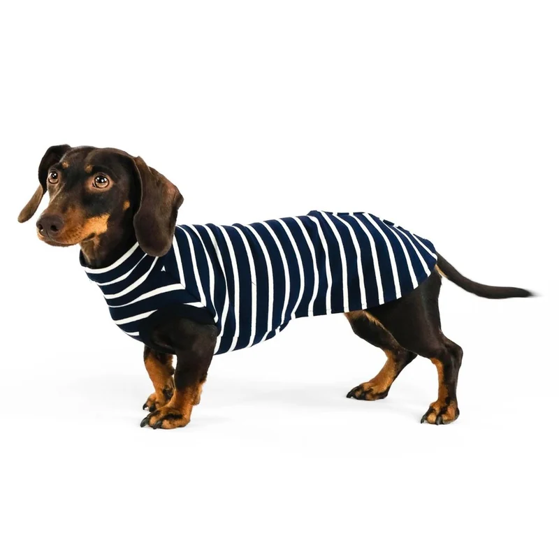 Cotton Shirt für Dackel Stripes Navy