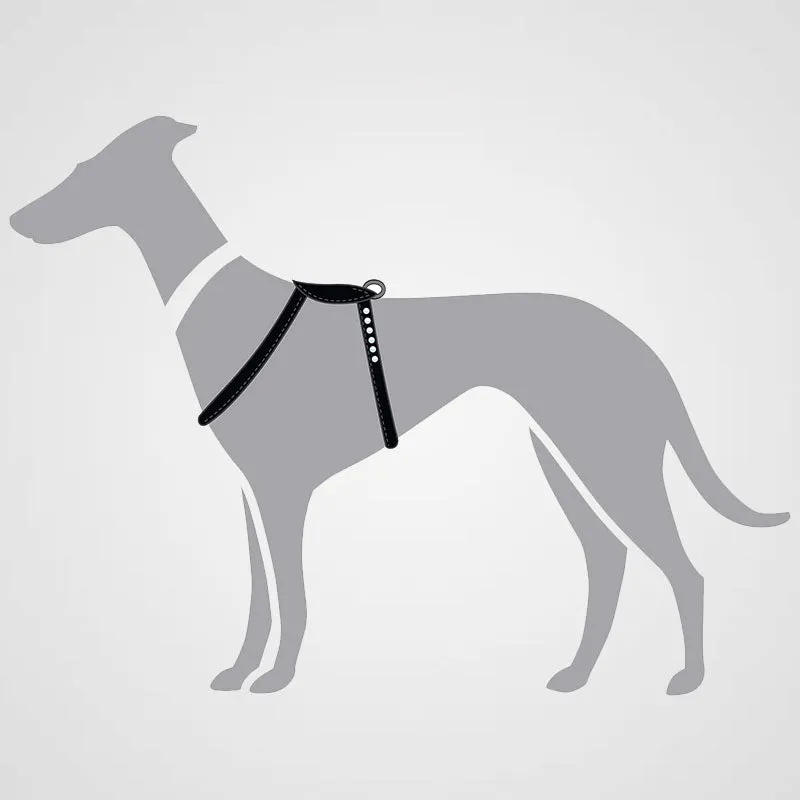 HUNTER - Geschirr Round & Soft Canadian Up | stylisches Hundegeschirr