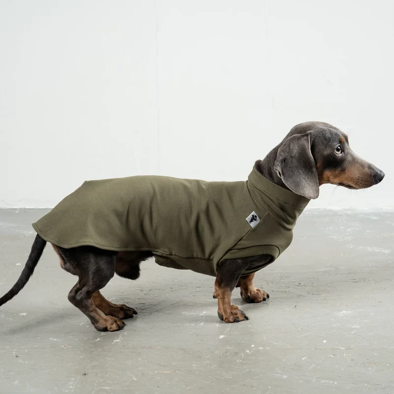 Cotton Shirt für Dackel Dark Olive