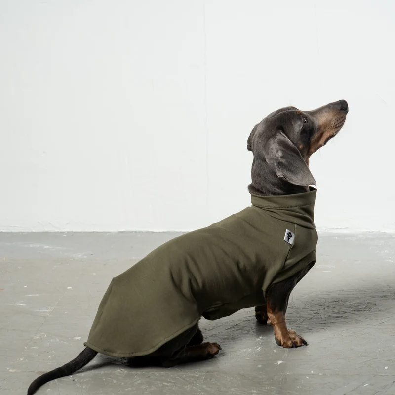 Cotton Shirt für Dackel Dark Olive