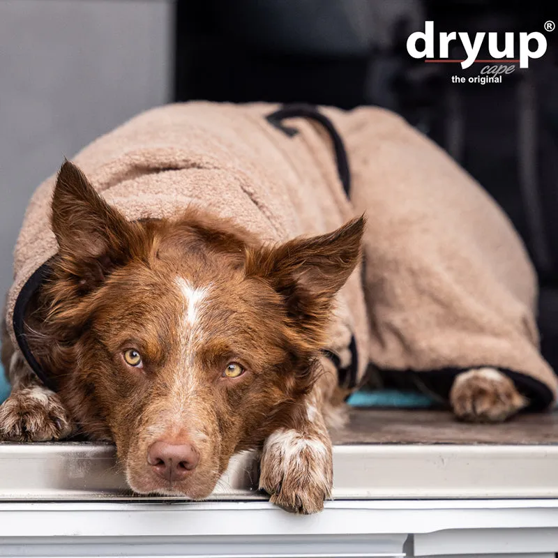 DRYUP cape | Hundebademantel - für mittelgroße Hunde (Gr. XS bis M)