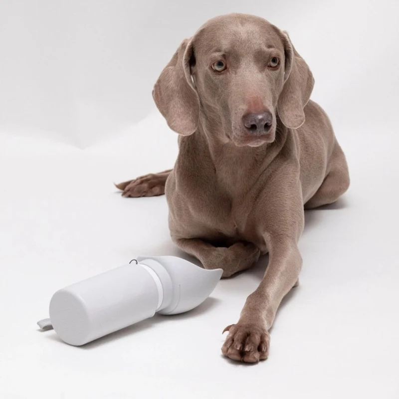 Hundetrinkflasche Hellgrau