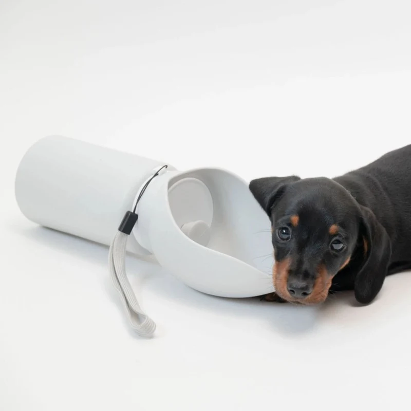 Hundetrinkflasche Hellgrau