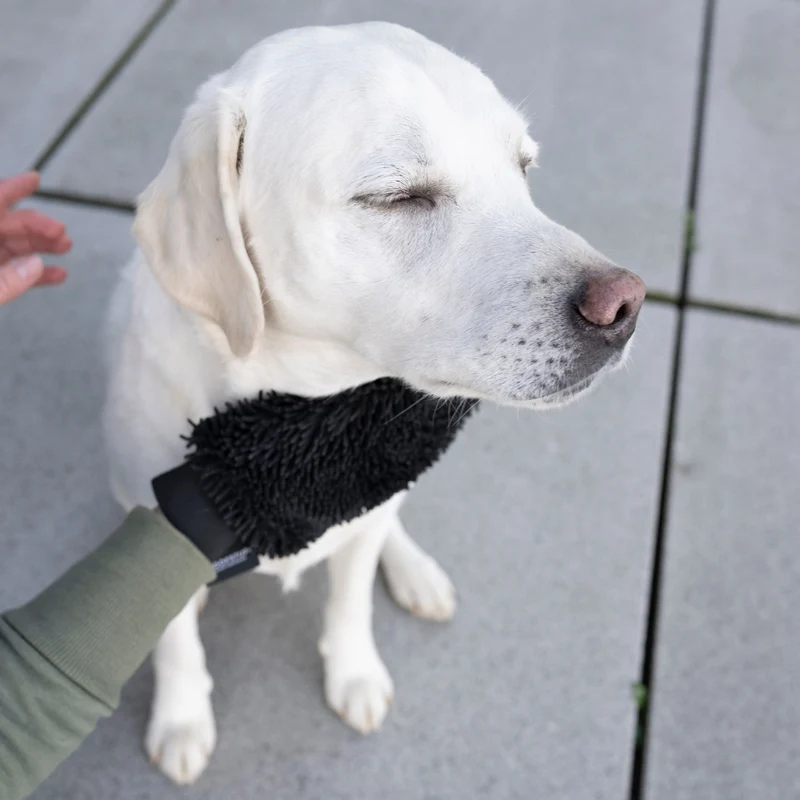 Hunde-Trockenhandschuh Quick Dry Anthrazit