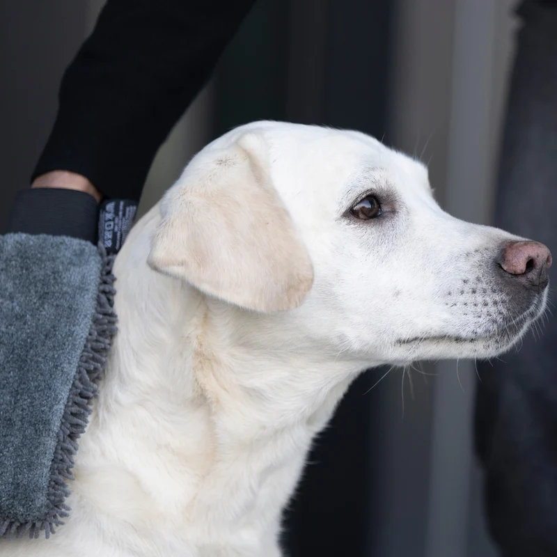Hunde-Trockenhandschuh Quick Dry Graphit