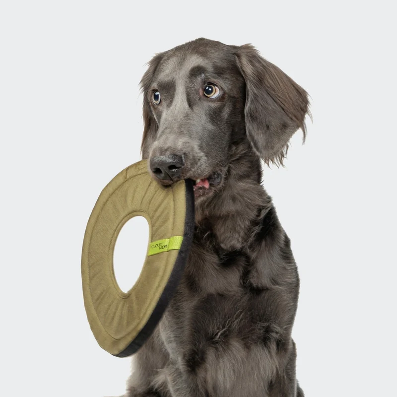 Hundespielzeug Frisbee AKTIV Khaki