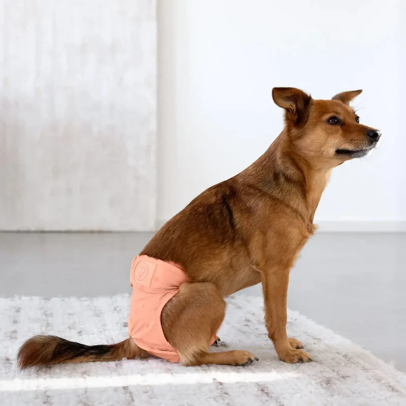 Läufigkeitshöschen & Hundewindel Glan Peach
