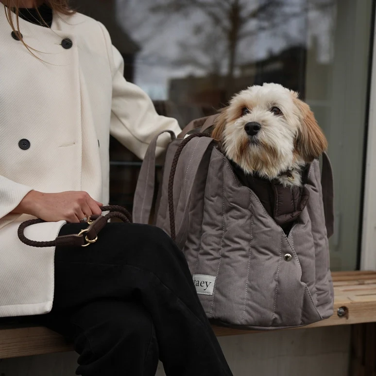 Hundetragetasche Elva Taupe