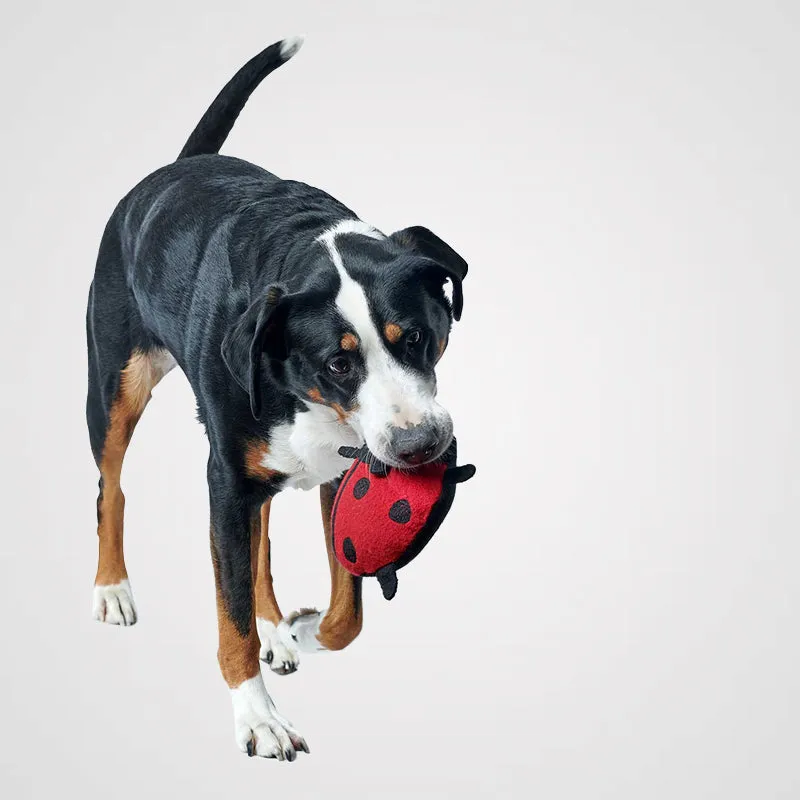 HUNTER - Florenz | nachhaltiges & lustiges Hundespielzeug