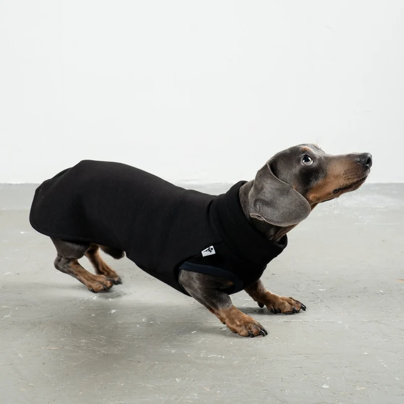 Sweat Shirt für Dackel Schwarz