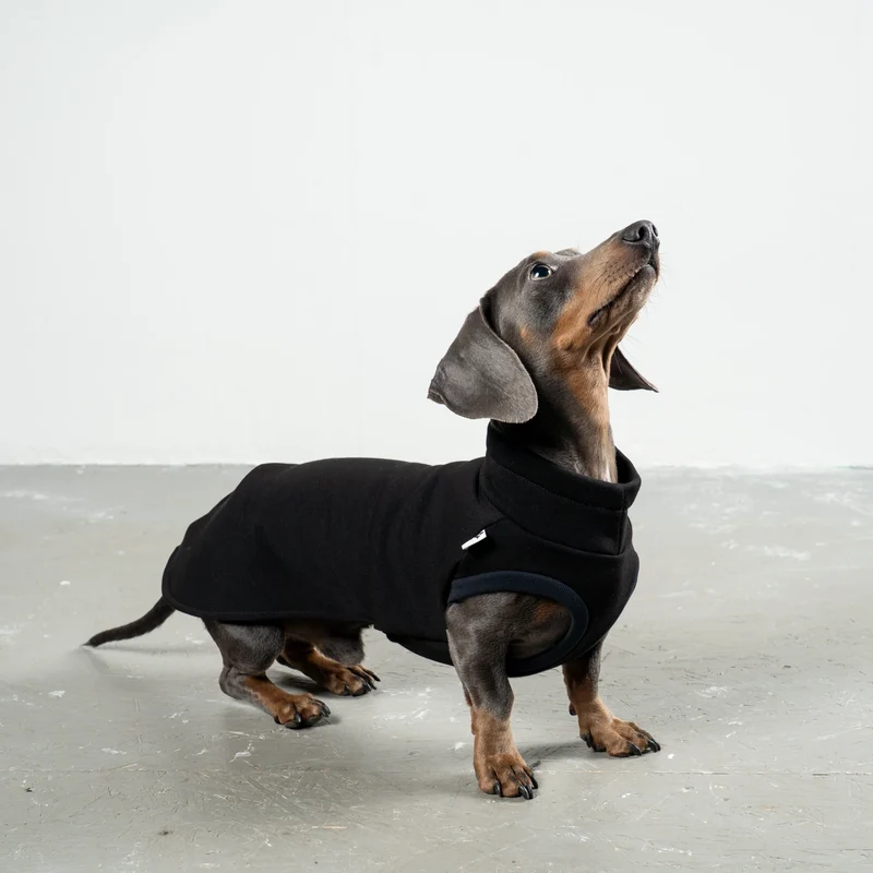Sweat Shirt für Dackel Schwarz