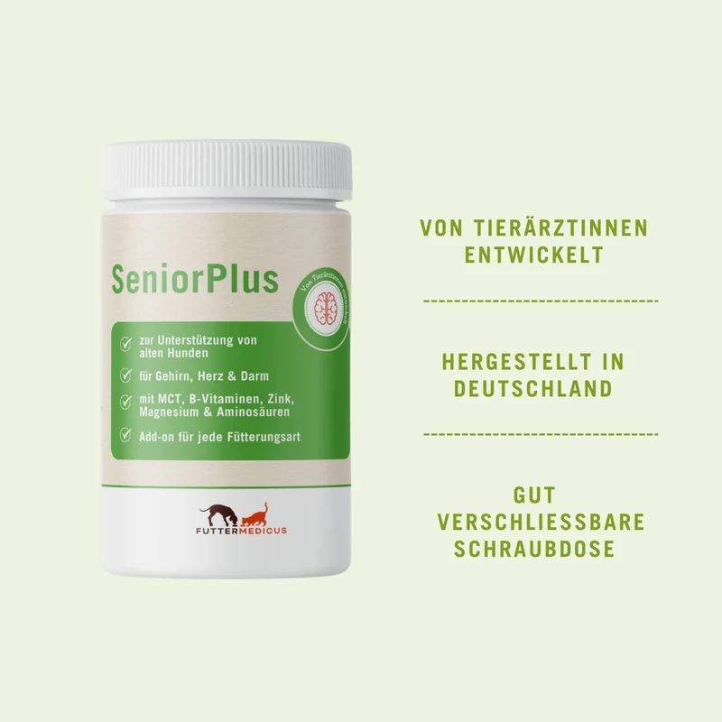 Senior Plus
