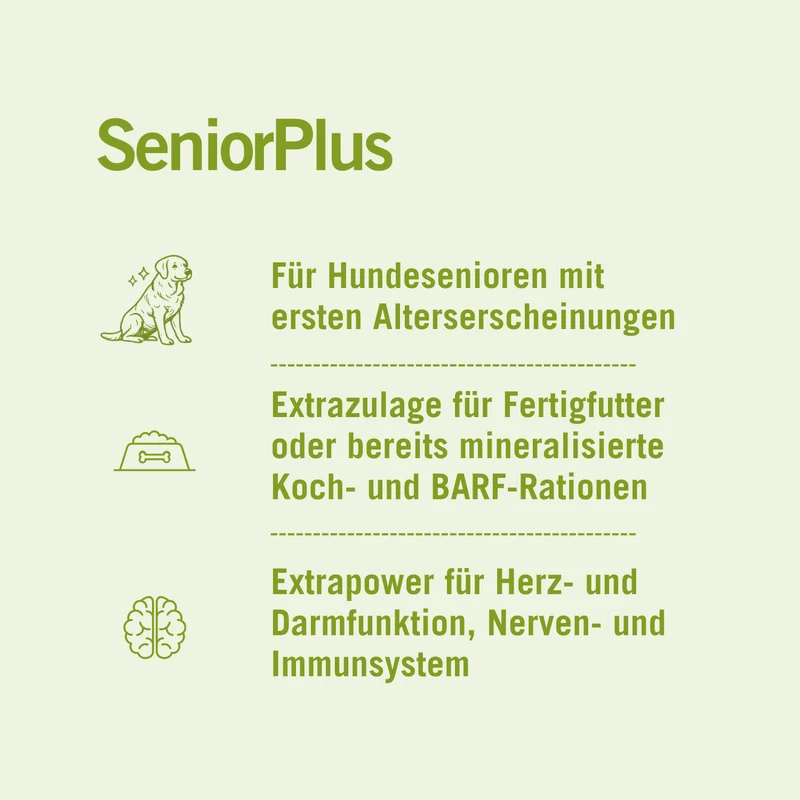 Senior Plus