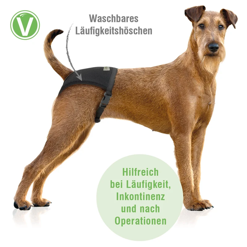 Läufigkeitshöschen Schwarz