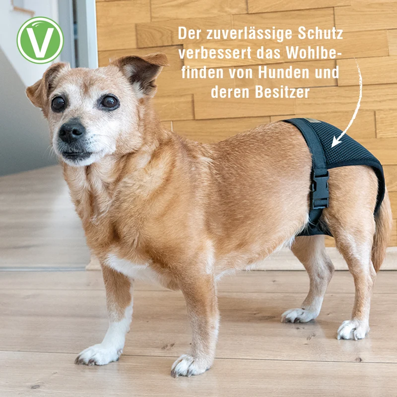 Läufigkeitshöschen Schwarz