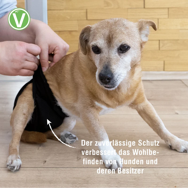 Waschbare Hündinnenwindel Schwarz