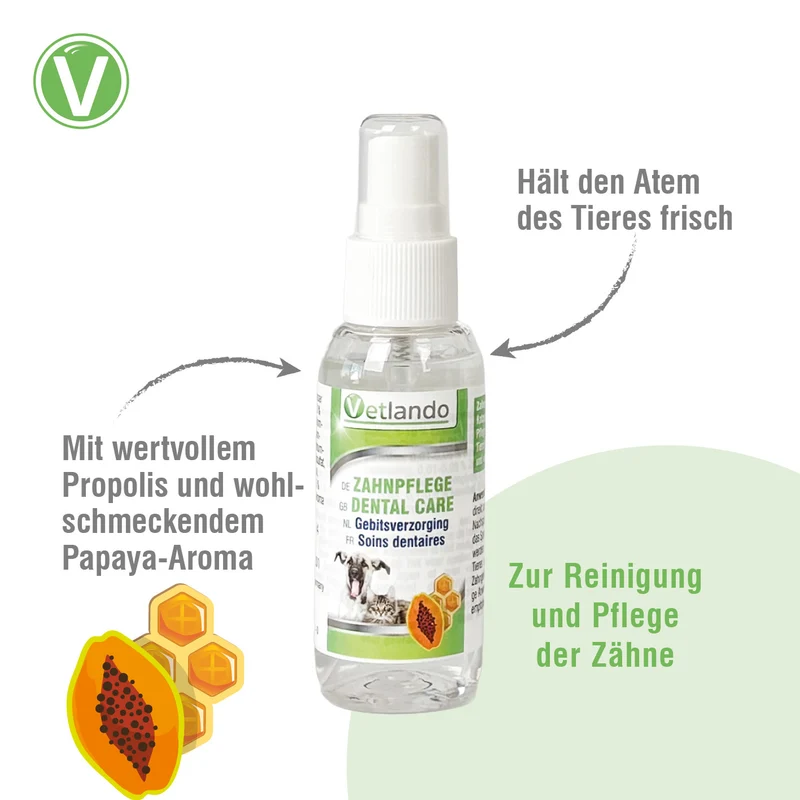 Zahnpflege-Spray
