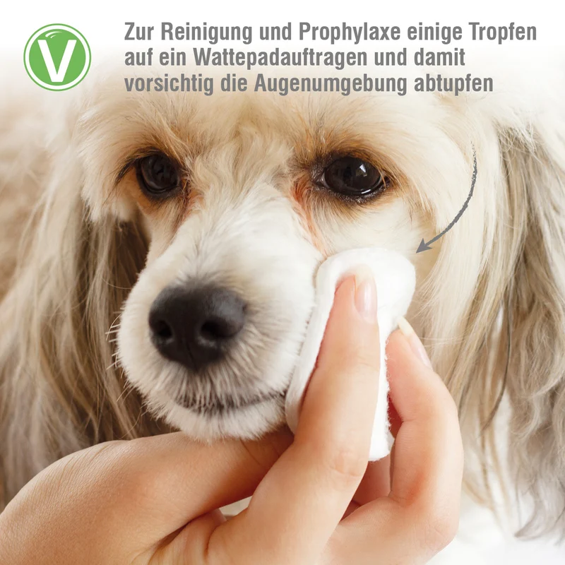 Augenpflege