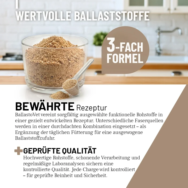 BallastoVET