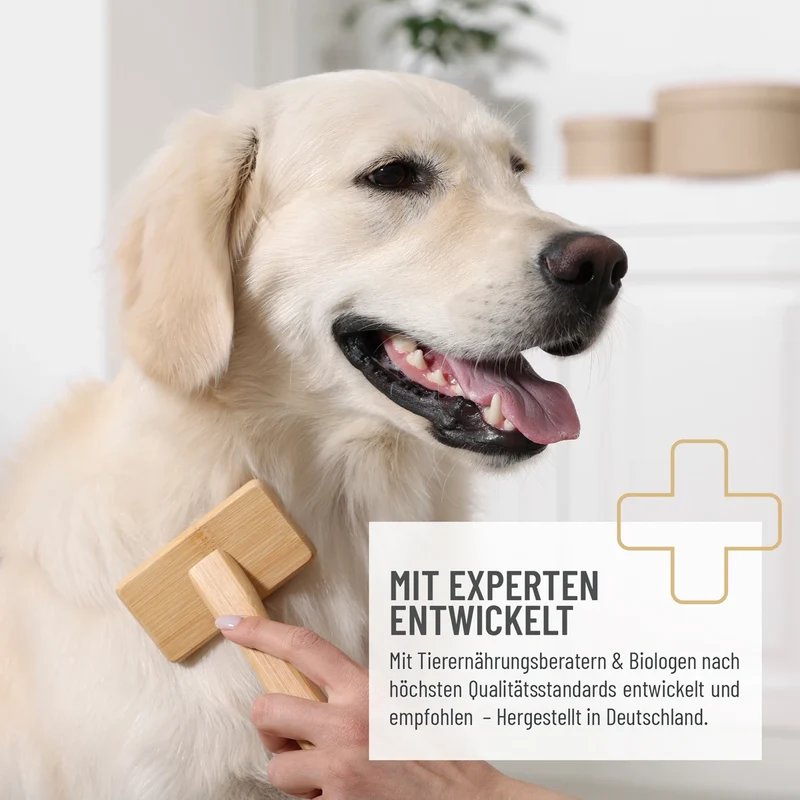 Fell Harmonie Snack