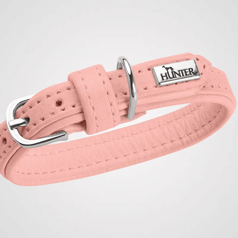 HUNTER - Soho Mini | Hundehalsband für kleine Hunde