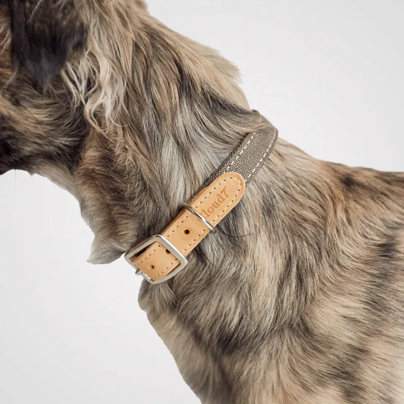 Cloud7 - Halsband Tivoli | Hundehalsband
