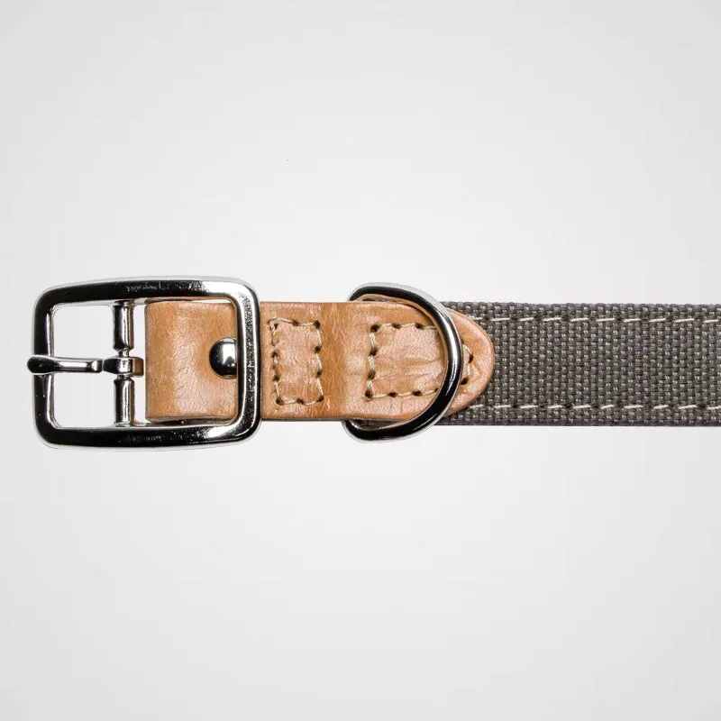 Cloud7 - Halsband Tivoli | Hundehalsband